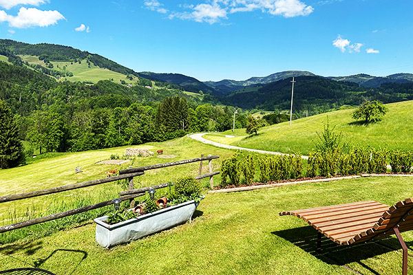 Lieblingsplatz mit Aussicht