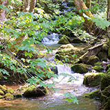 Idyllisches Bächlein bei Fröhnd