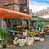 Der allseits beliebte Wochenmarkt auf dem Freiburger Münsterplatz