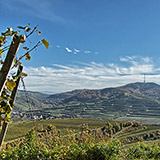 Der Kaiserstuhl zeigt sich von seiner schönsten Seite